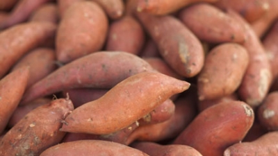 Sweet potato