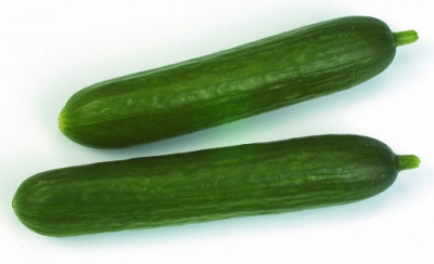 Cucumber