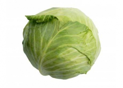 cabbage