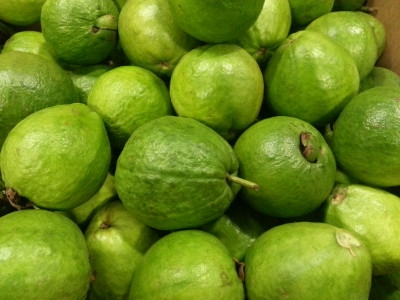 Guava