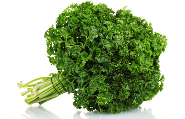 curly parsley