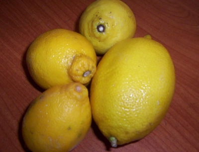 Lemon