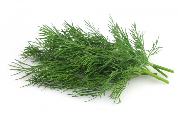 dill