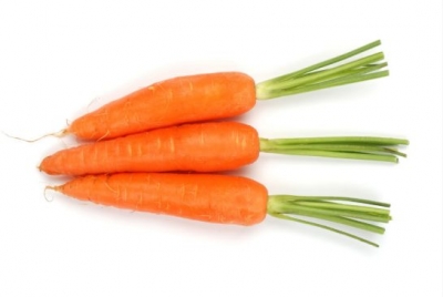 Carrot